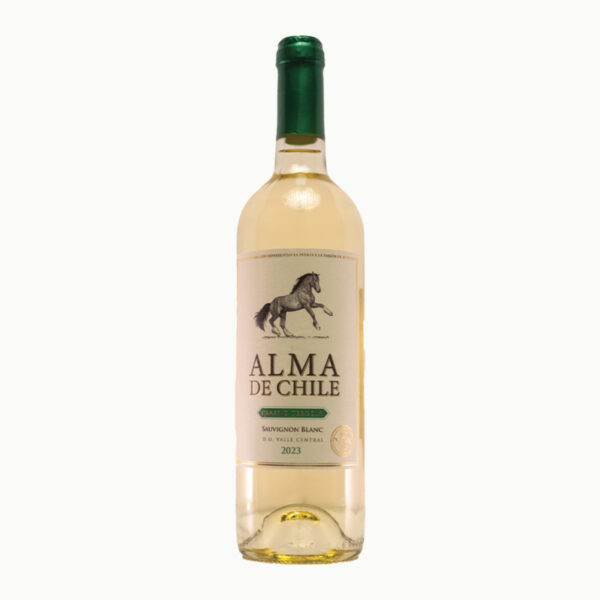 Alma De Chile  Sauvignon Blanc  białe wytrawne